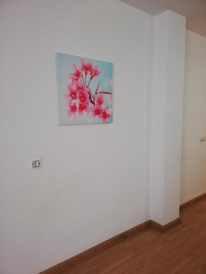 Apartment En Primera Linea De Playa Naturista! Vera
