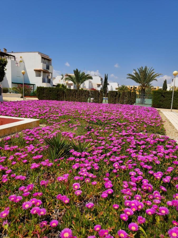 Apartment En Primera Linea De Playa Naturista!